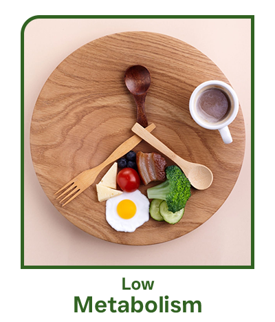 low metabolism
