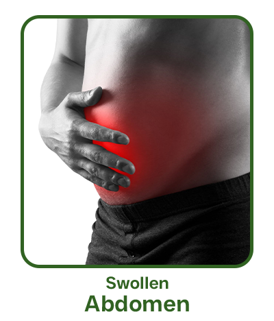 swollen abdomen