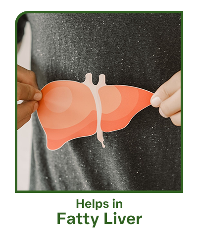 fatty liver