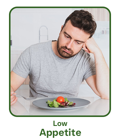 low appetite