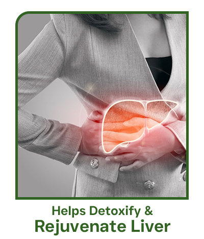 rejuvenate liver