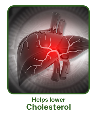 lower cholesterol