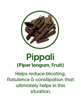 pippli