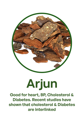 arjun 2