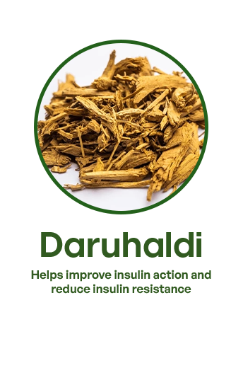darahaldi 2