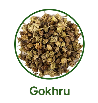 gokhru