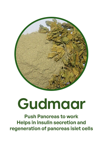 gudmaar 2