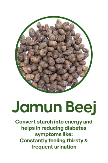 jamun beej 2