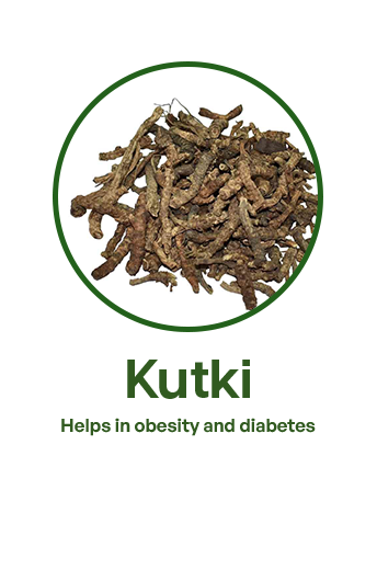 kutki 2