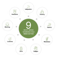 Total Detox for Indigestion, Constipation & Rejuvenation of Digestive System - Image 14