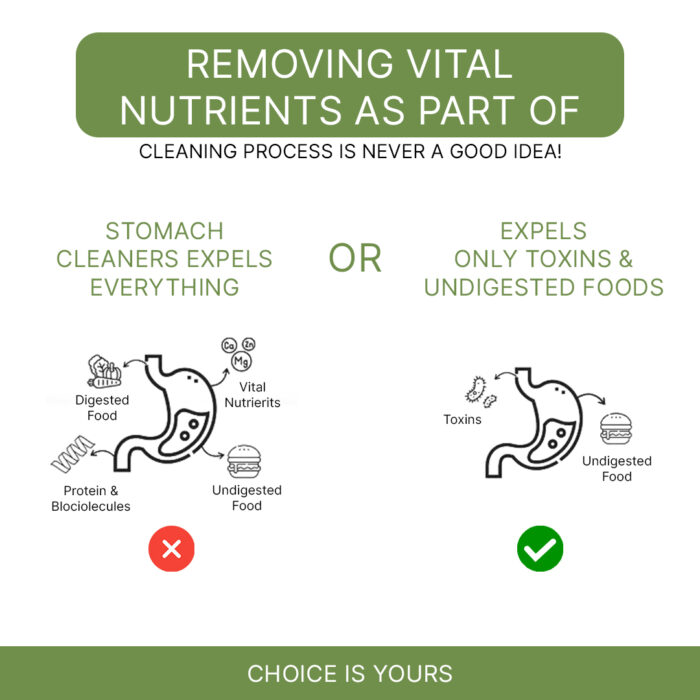 Total Detox for Indigestion, Constipation & Rejuvenation of Digestive System - Image 8