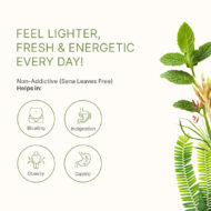 Total Detox for Indigestion, Constipation & Rejuvenation of Digestive System - Image 3