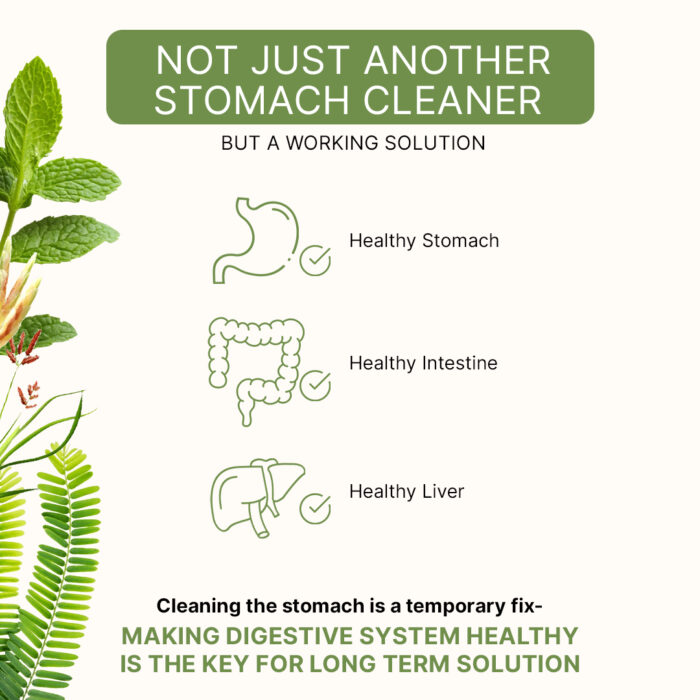 Total Detox for Indigestion, Constipation & Rejuvenation of Digestive System - Image 4