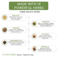 Total Detox for Indigestion, Constipation & Rejuvenation of Digestive System - Image 7