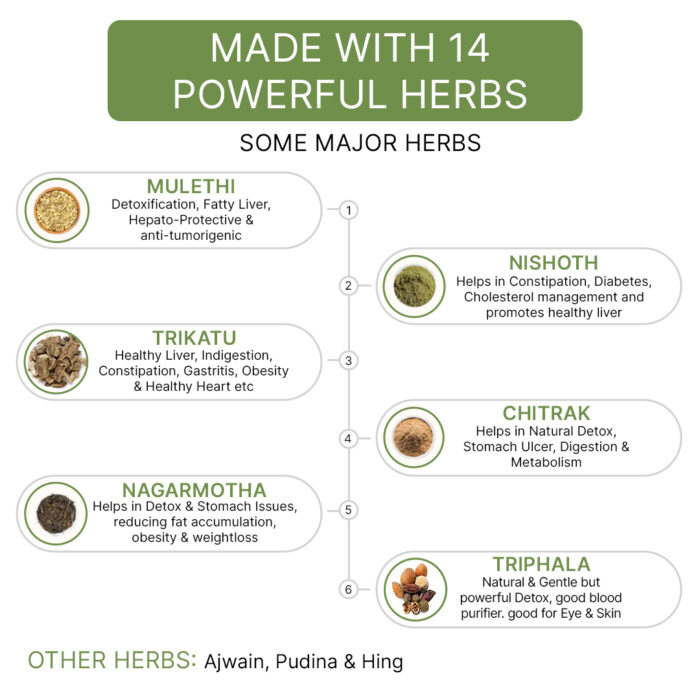 Total Detox for Indigestion, Constipation & Rejuvenation of Digestive System - Image 7