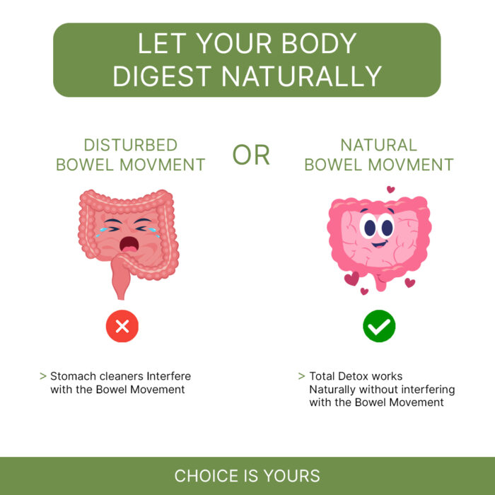 Total Detox for Indigestion, Constipation & Rejuvenation of Digestive System - Image 6